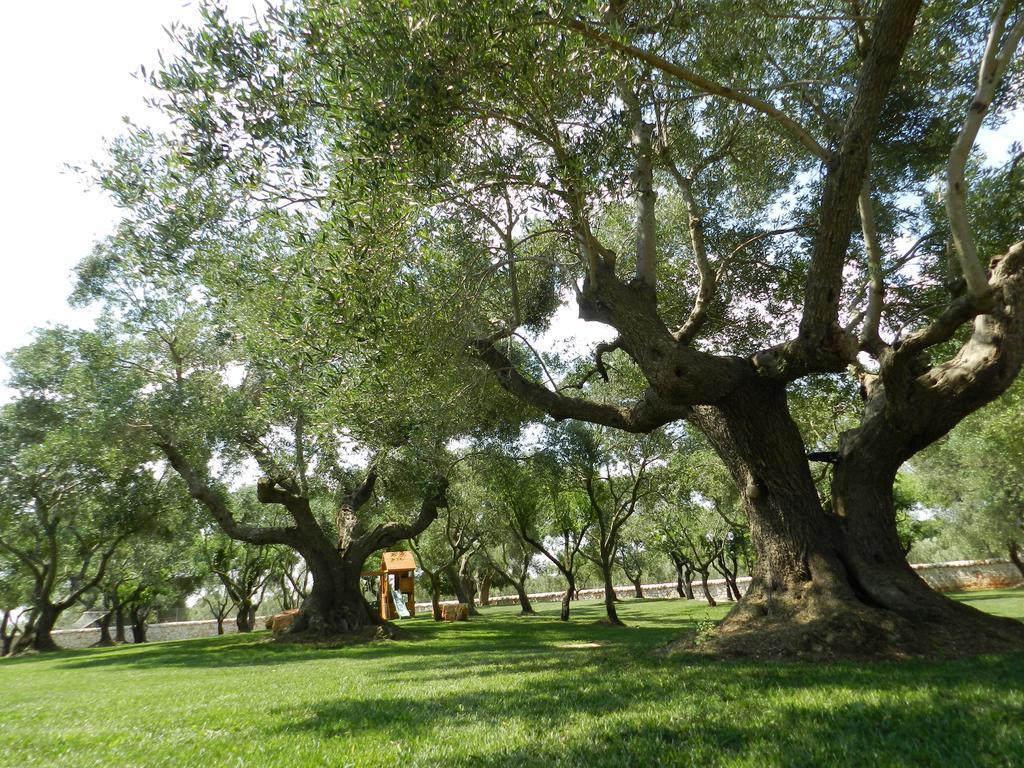 בית הארחה אלברובלו 	I Trulli Del Nonno Michele מראה חיצוני תמונה