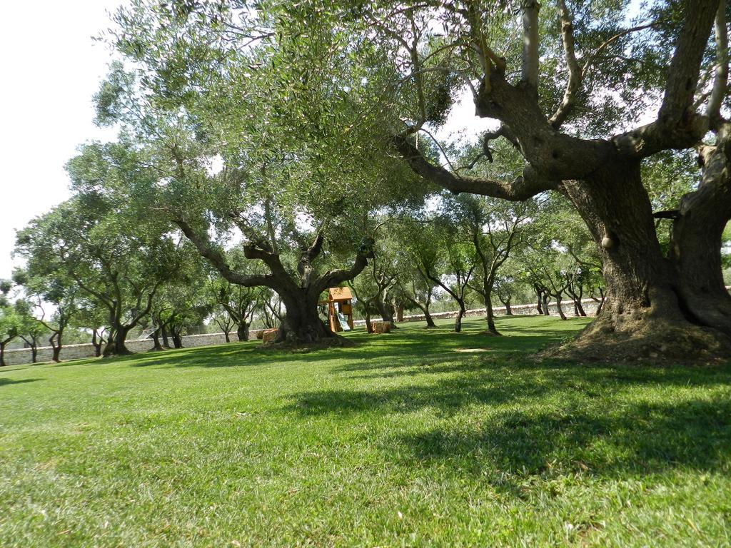 בית הארחה אלברובלו 	I Trulli Del Nonno Michele מראה חיצוני תמונה